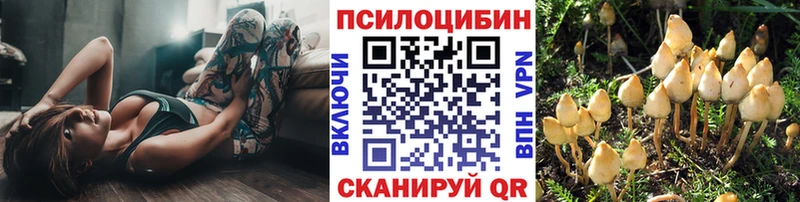 Галлюциногенные грибы Psilocybe цены Амурск