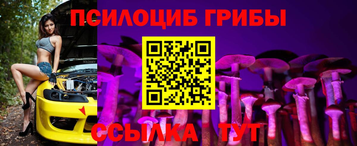 Амурск  Псилоцибиновые грибы Psilocybe  Вход с VPN 