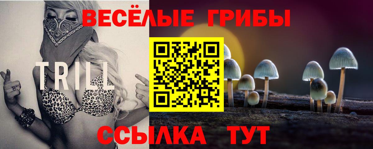 А ПВП Амурск