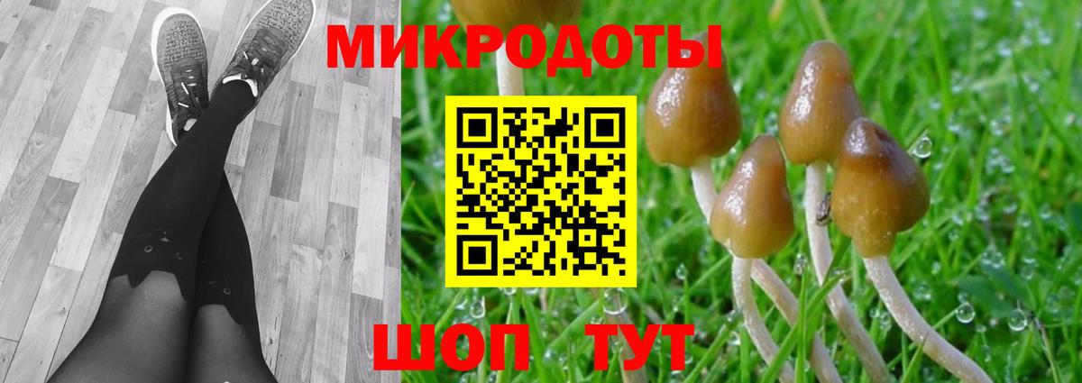 Галлюциногенные грибы Cubensis Амурск