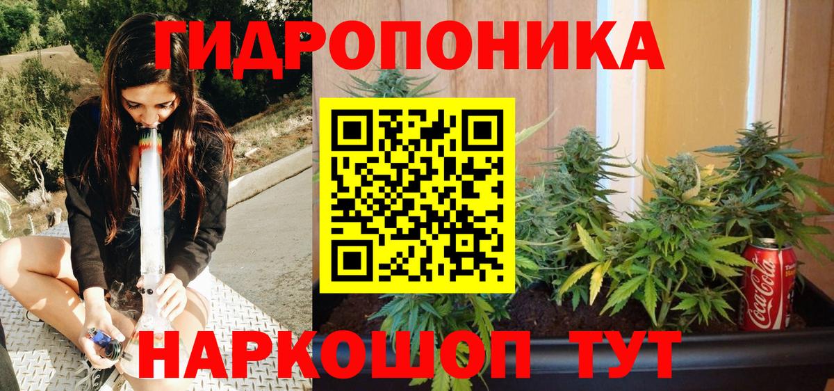 Бошки марихуана семена  Вход с VPN  Каннабис THC 21%  Амурск  Бошки марихуана марихуана 